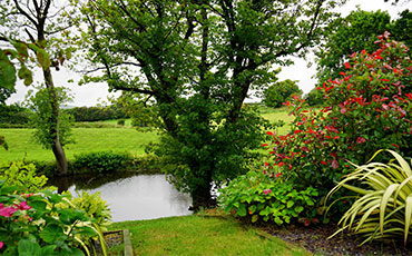 Shrubbery and Tree Pruning